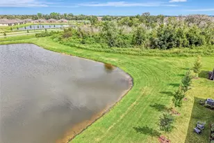 11854 Lilac Pearl Ln, Parrish, FL 34219 - Photo 71