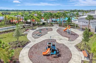 11854 Lilac Pearl Ln, Parrish, FL 34219 - Photo 77