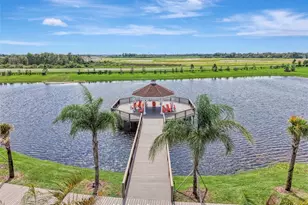 11854 Lilac Pearl Ln, Parrish, FL 34219 - Photo 89