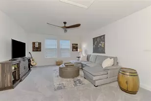 11854 Lilac Pearl Ln, Parrish, FL 34219 - Photo 45