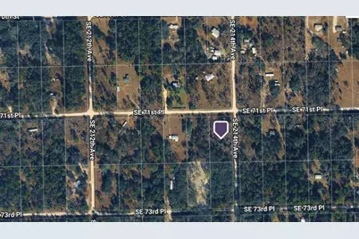 21360 SE 71st Place, Morriston, FL 32668 - Photo 3
