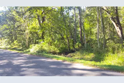 19289 Center Street, Brooksville, FL 34601 - Photo 3