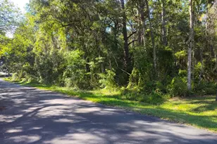 19289 Center St, Brooksville, FL 34601 - Photo 1