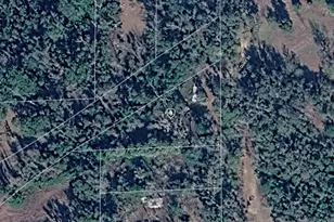 1409 Quail St, Perry, FL 32348 - Photo 1