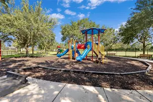 5902 106th Terrace E, Parrish, FL 34219 - Photo 47