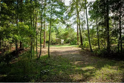 54720 Astor Transfer Station Road, Astor, FL 32102 - Photo 15