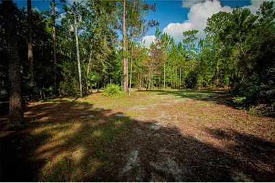 54720 Astor Transfer Station Road, Astor, FL 32102 - Photo 17