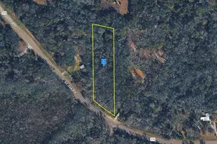 33901 St Joe Rd, Dade City, FL 33525 - Photo 1