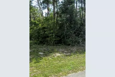 Azalea Avenue, Paisley, FL 32767 - Photo 5