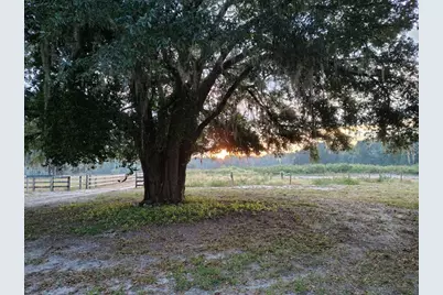 650 NE 170th Avenue, Williston, FL 32696 - Photo 13