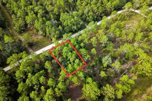 0 SW 13th St, Ocala, FL 34481 - Photo 1
