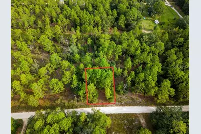 0 SW 13th Street, Ocala, FL 34481 - Photo 3