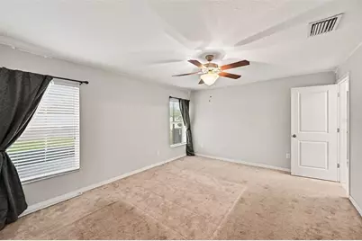 1501 Climbing Dayflower Drive, Ruskin, FL 33570 - Photo 15