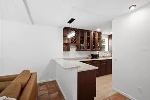 104 Chesapeake Ave, Tampa, FL 33606 - Photo 11