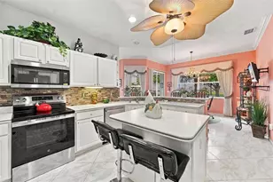 2223 Platinum Dr, Sun City Center, FL 33573 - Photo 49