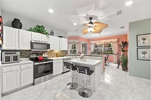 2223 Platinum Dr, Sun City Center, FL 33573 - Photo 47