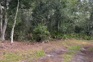5010 Wauchula Rd, Myakka City, FL 34251 - Photo 1