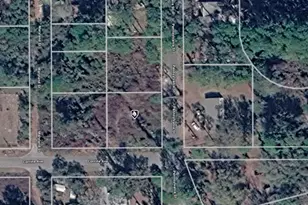 15-17-28-0200-014-01900 Pennsylvania St, Paisley, FL 32767 - Photo 1