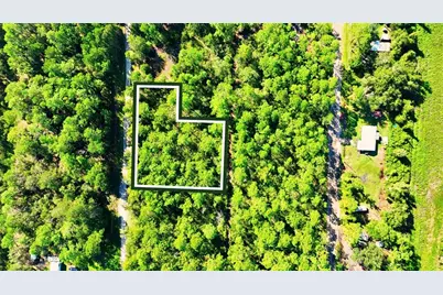 Tbd NE 66th Avenue, Citra, FL 32113 - Photo 5