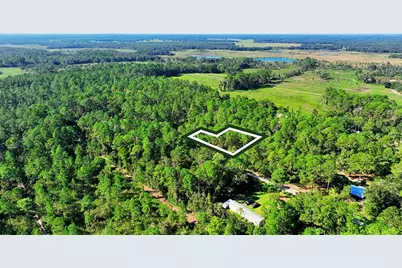 Tbd NE 66th Avenue, Citra, FL 32113 - Photo 3