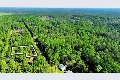 Tbd NE 66th Avenue, Citra, FL 32113 - Photo 9