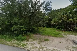 10122 Shalimar St, New Port Richey, FL 34654 - Photo 1