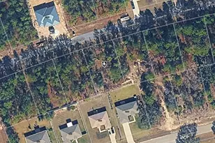 1880 W Linden Dr, Citrus Springs, FL 34434 - Photo 1