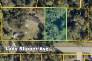 Lady Slipper Ave, North Port, FL 34291 - Photo 1