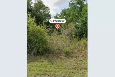 140 Vanilla Circle, Punta Gorda, FL 33982 - Photo 3