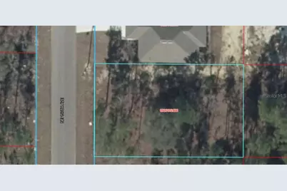 Ne 150th Avenue, Williston, FL 32696 - Photo 1