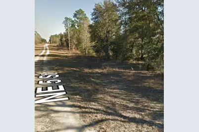 Ne 5th Street, Williston, FL 32696 - Photo 5