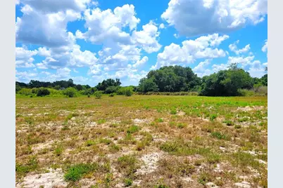 9965 S US Highway 37, Mulberry, FL 33860 - Photo 3