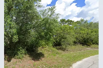 525 St Johns Court, Kissimmee, FL 34759 - Photo 3