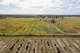 Lot 10 Lake Buffum Road S, Fort Meade, FL 33841 - Photo 1