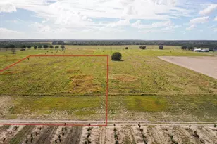 Lot 12 Lake Buffum Road S, Fort Meade, FL 33841 - Photo 1
