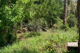 1709 Stream Ave, Sebring, FL 33875 - Photo 7