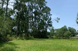 1709 Stream Ave, Sebring, FL 33875 - Photo 11