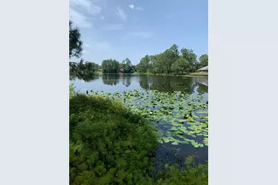 1709 Stream Avenue, Sebring, FL 33875 - Photo 5