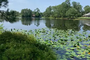 1709 Stream Ave, Sebring, FL 33875 - Photo 5