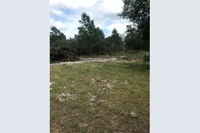 0 80 Foot Road, Bartow, FL 33830 - Photo 5