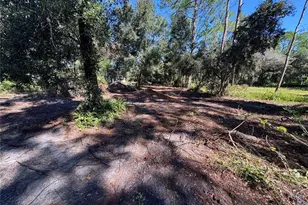 8939 Beverly Hills, Lakeland, FL 33809 - Photo 7