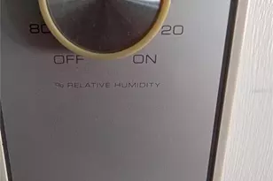 143 Pansy St, Davenport, FL 33837 - Photo 31