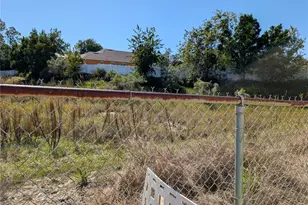 143 Pansy St, Davenport, FL 33837 - Photo 47