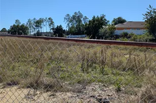 143 Pansy St, Davenport, FL 33837 - Photo 51