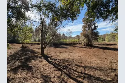 Hammock Loop, Polk City, FL 33868 - Photo 5