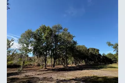 Hammock Loop, Polk City, FL 33868 - Photo 1