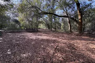 10636 Pathfinder Trail, Lakeland, FL 33809 - Photo 19