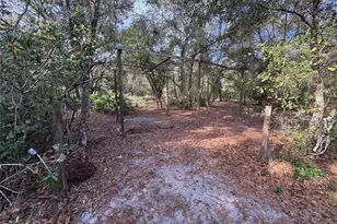 10636 Pathfinder Trail, Lakeland, FL 33809 - Photo 17