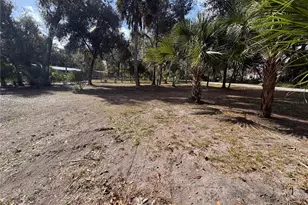 4840 Indian Oak Dr, Mulberry, FL 33860 - Photo 15