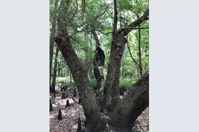 49 Fenny Bosk Trail, Venus, FL 33960 - Photo 23